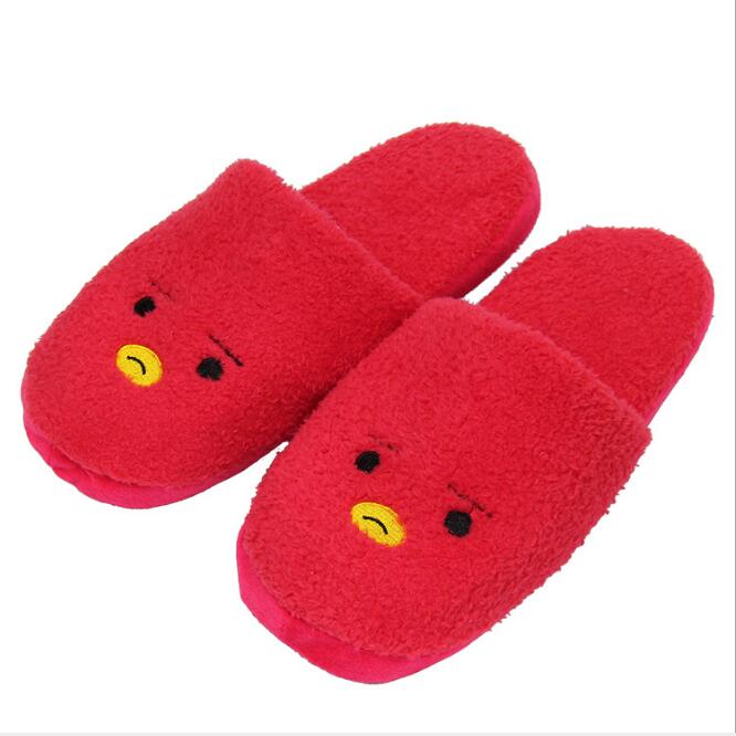 BT21 Kpop slippers