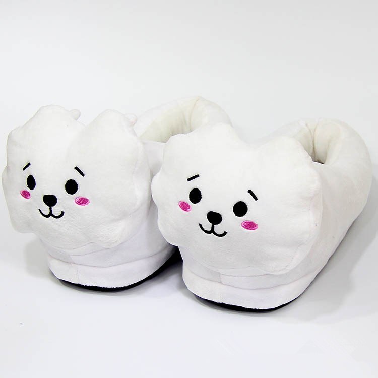 BT21 Kpop slippers