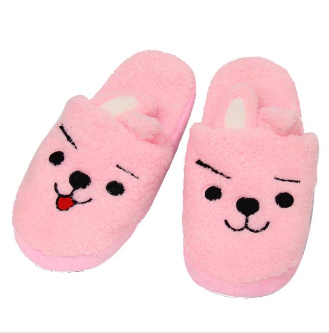 BT21 Kpop slippers