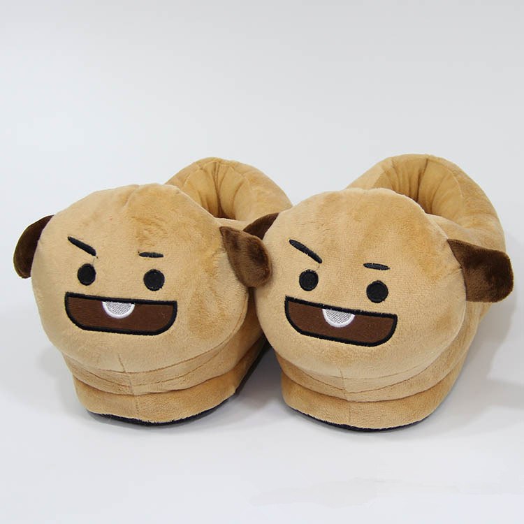 BT21 Kpop slippers